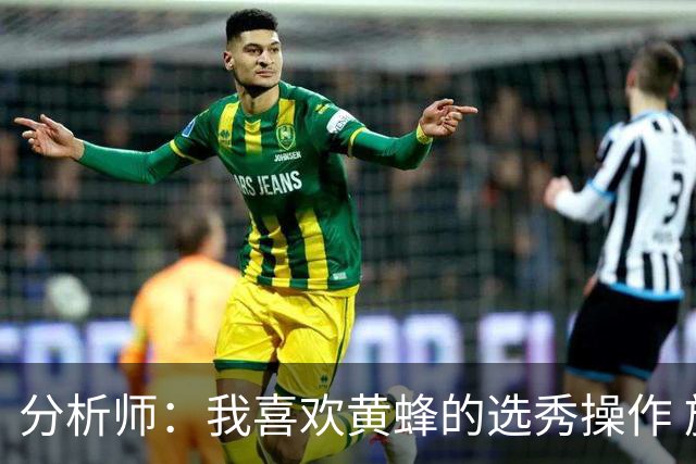 分析师：我喜欢黄蜂的选秀操作 施泰因巴赫简直是个内线巨兽